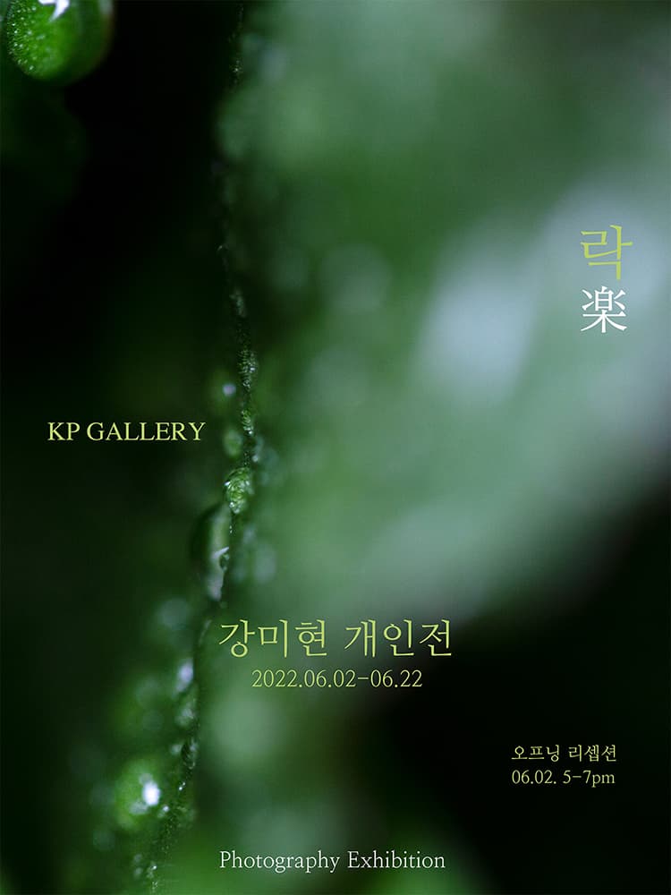 강미현 개인전: 락 楽 1