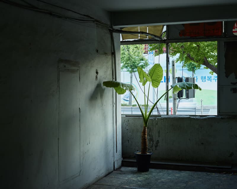 ⓒ이승훈, Moving days, 좌원상가아파트_알로카시아, 2015