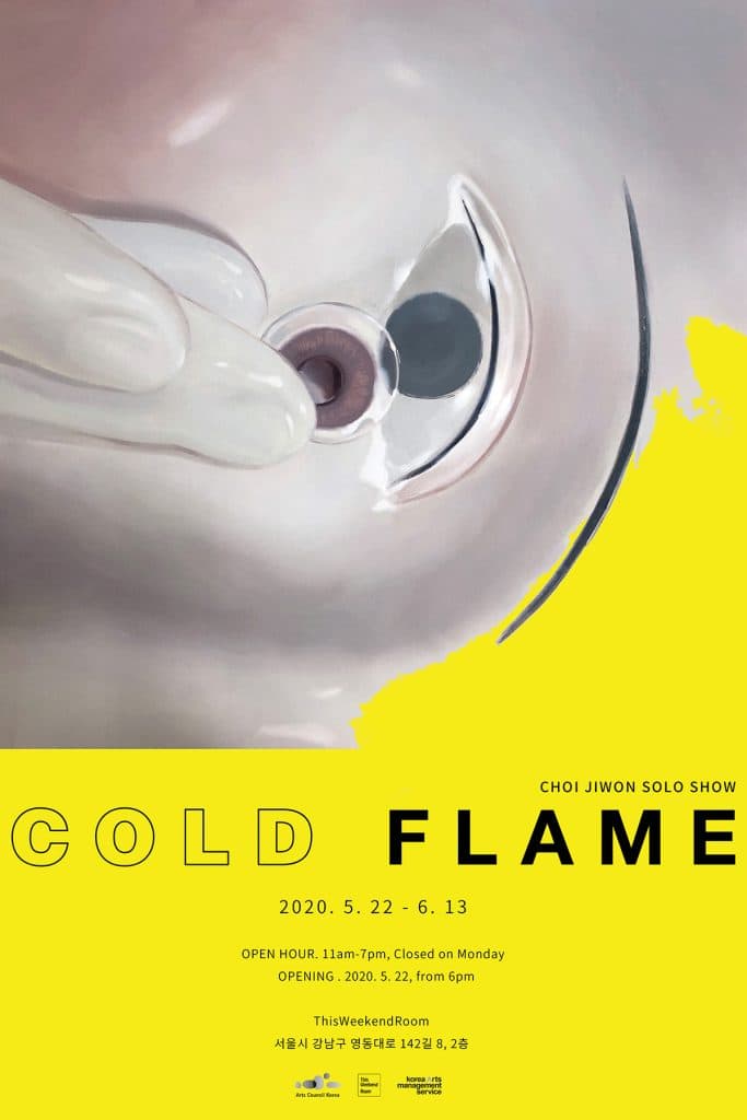 최지원 개인전 : 차가운 불꽃 Jiwon Choi : Cold Flame 1