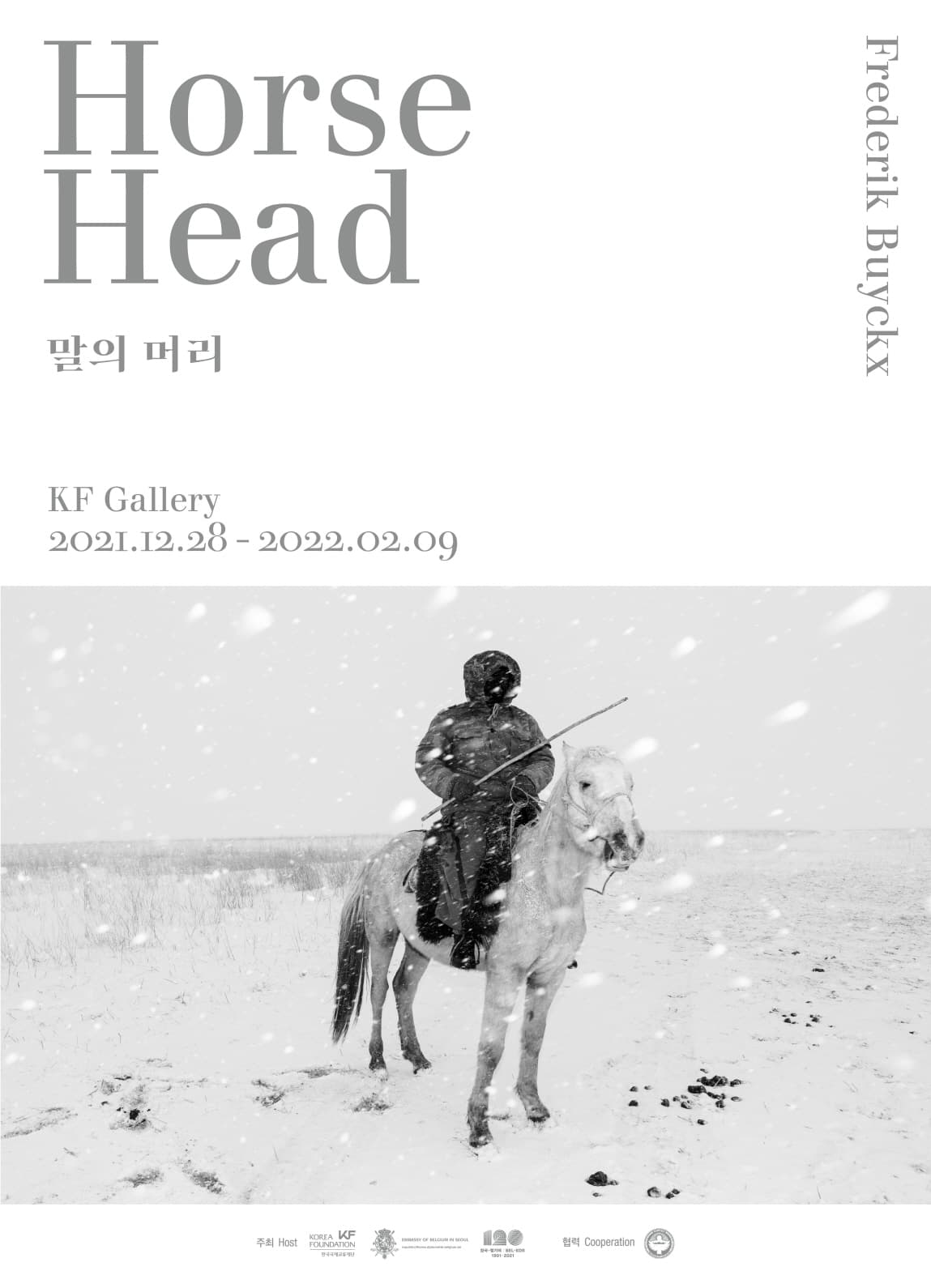말의 머리 Horse Head 1