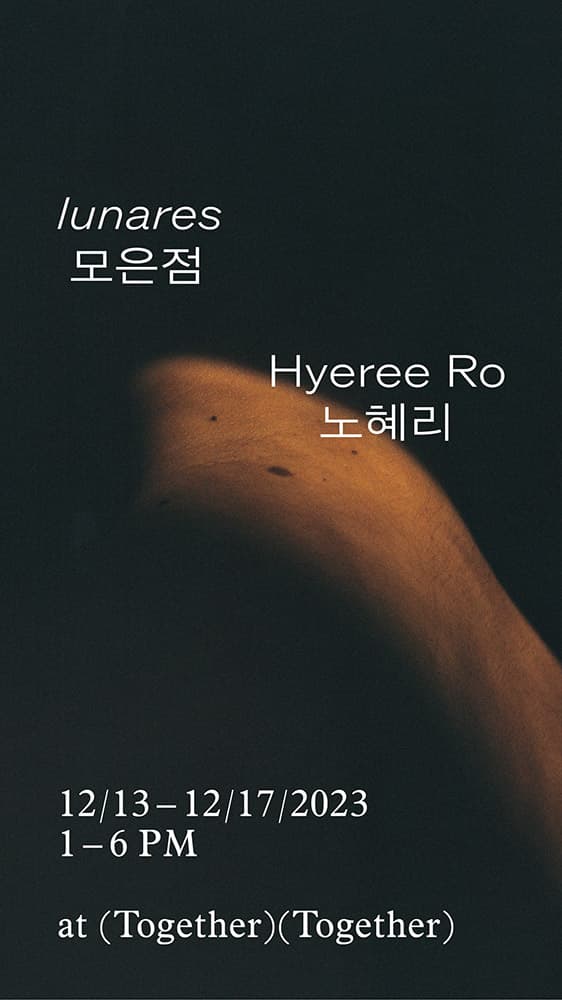 노혜리: 모은점 lunares 1