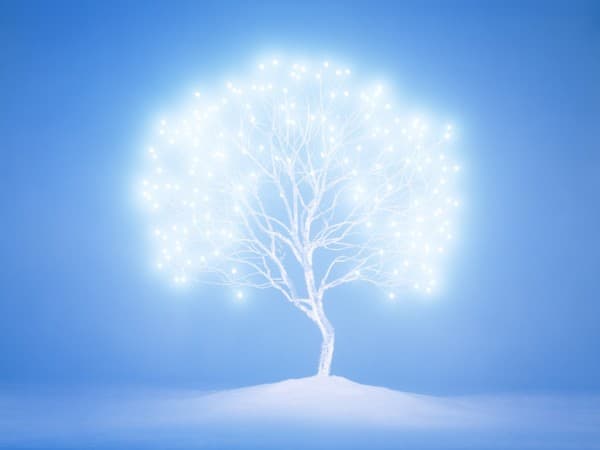 이정록, Tree of life #3-1, pigment print, 2010