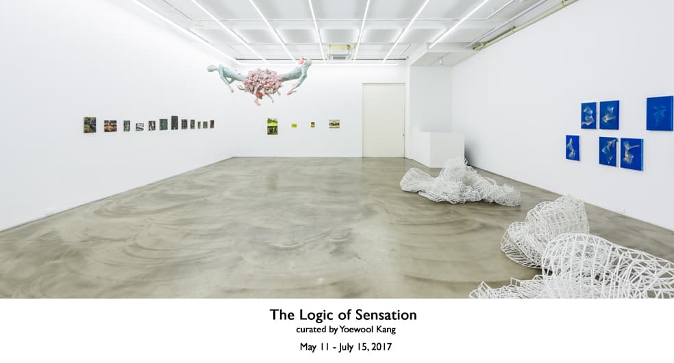 The Logic of Sensation 1