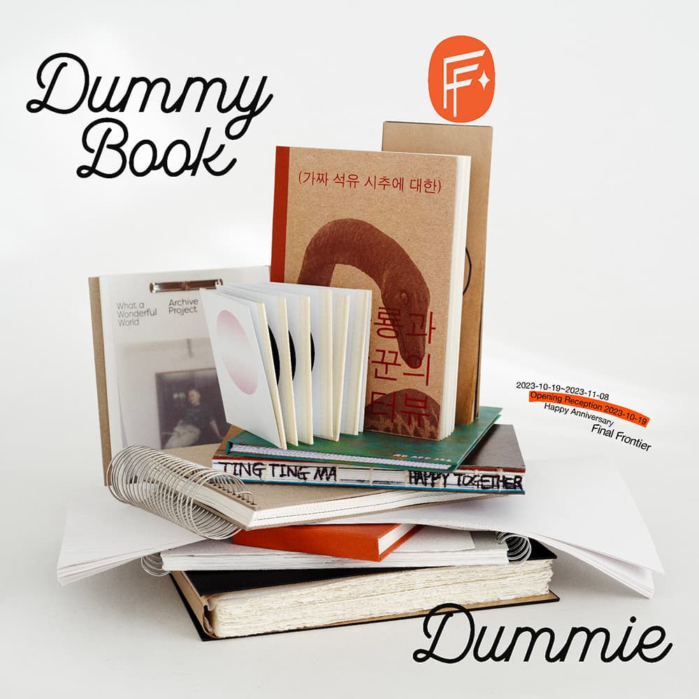 Dummy Book Dummie 1