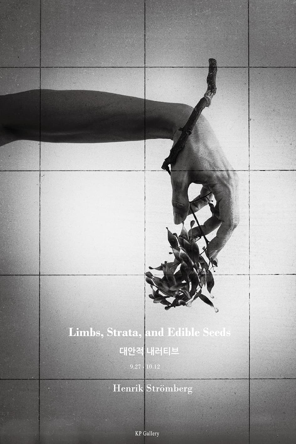 Henrik Strömberg 개인전: Limbs, Strata and Edible Seeds / 대안적 내러티브 1