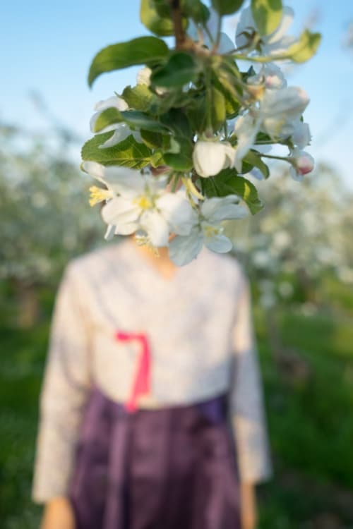 The moment apple flower comes to me –Apple‘s Travel#8 , yesan. Korea @ Shin HyunRim.Inkjet print. 2019