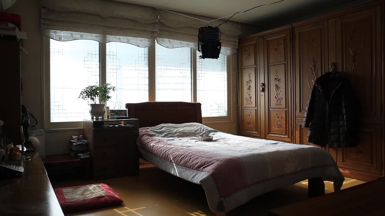 이창훈, 꼬리, 2020, 3채널 영상(13분 반복재생), 포집한 물, 냉동고, 그릇, 몰드, 목재, 분재, 가변크기