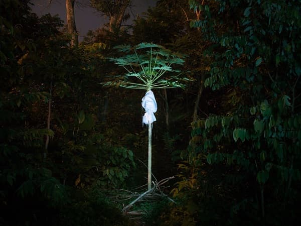 Marvin Tang_STATELAND