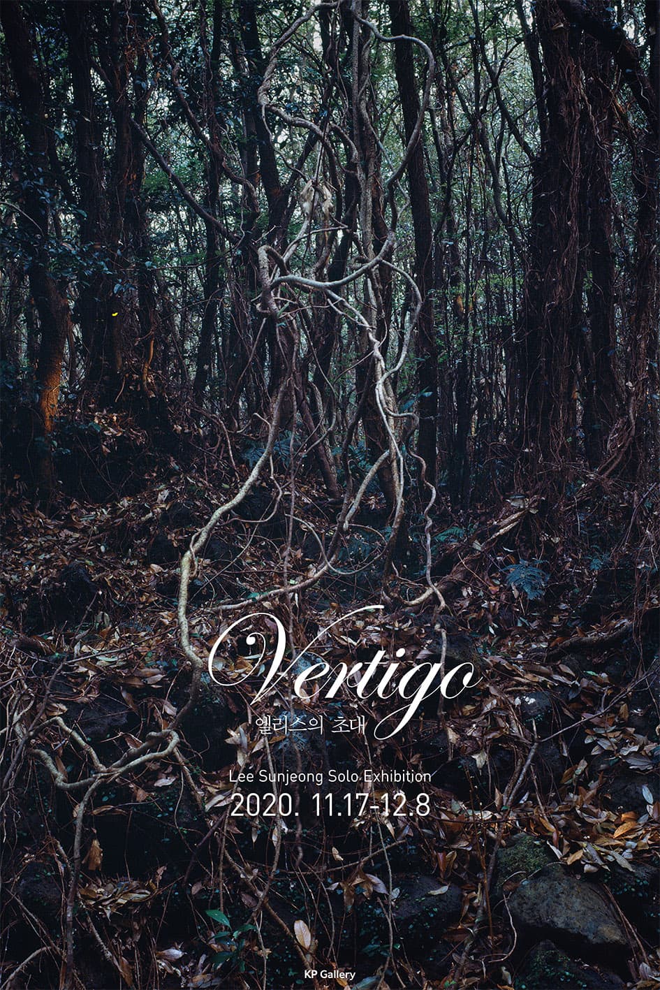 이선정 개인전 : Vertigo_엘리스의 초대 1