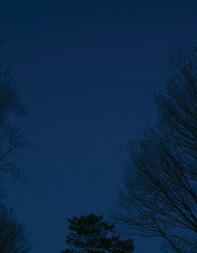 Byron Kim : Sky
