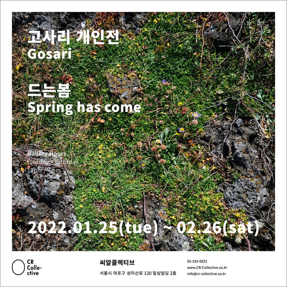 고사리 개인전: 드는봄 Gosari: Spring has come 1