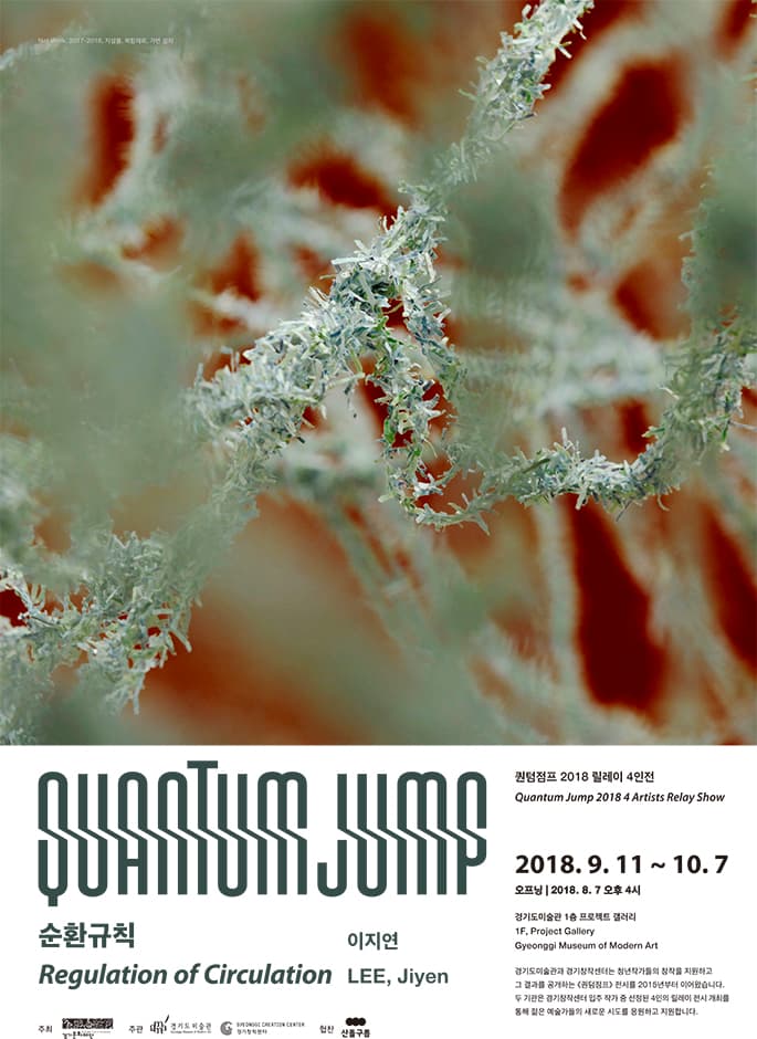 이지연 : 순환규칙 Lee Jiyen : Regulation of Circulation 1