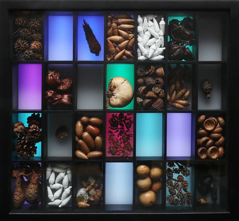 이지희, Treasured, Seeds, LED, 2019