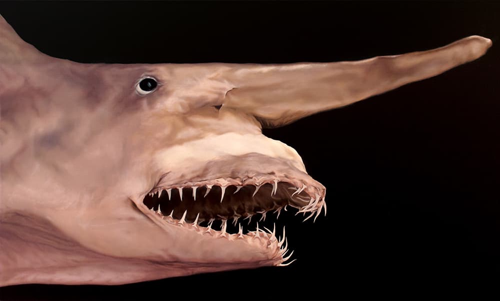 다비드 베네딕트 베흐트, 테티스, 2020, 캔버스에 유채, 50×90cm