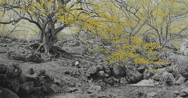 최영걸 CHOI Yeong-Geol, 화양연화 (花樣年華) The Brilliant Moment, 117×219cm, 화선지에 수묵담채 Chinese Ink & Watercolor on Korean paper, 2017