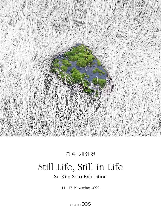 김수 : Still Life, Still in Life 1