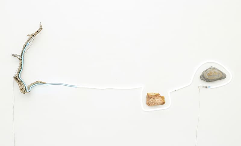 XX - from the series «More robust nature...more robust geometry», 2019. Courtesy of the artist and Perrotin.