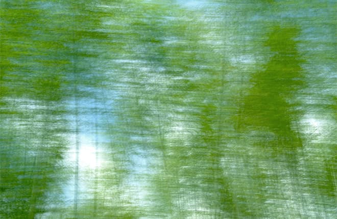 라규채 Bamboo #002 100×153cm Digital C print 2006