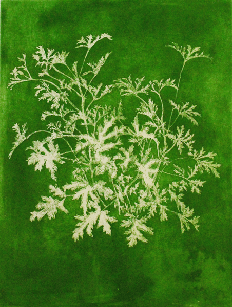 김미로 green complex 1 etching aquatint 40 x 30cm 2016