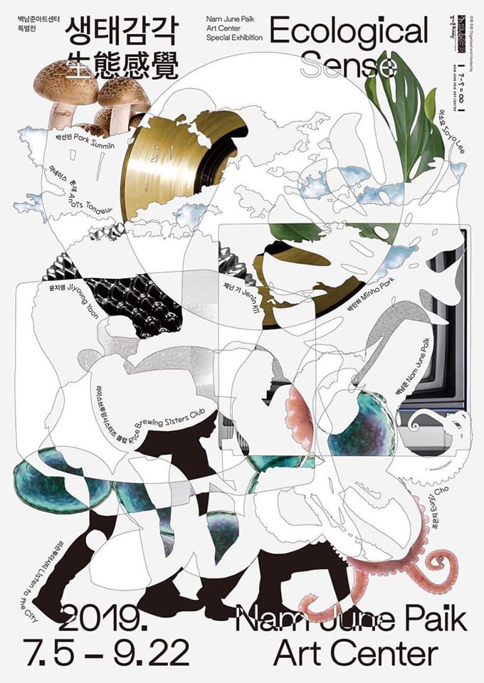 생태감각 Ecological Sense 1