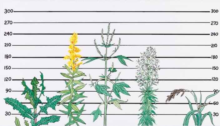 김제민, Usual Suspects_종이에 수성마카_43x75.6cm_2016