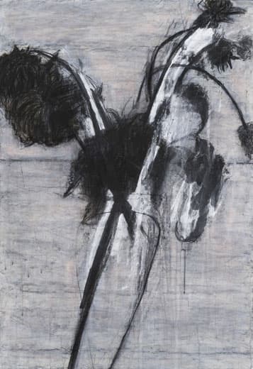 장현주, weeds, 장지에 먹,목탄,분채, 144x100cm, 2017