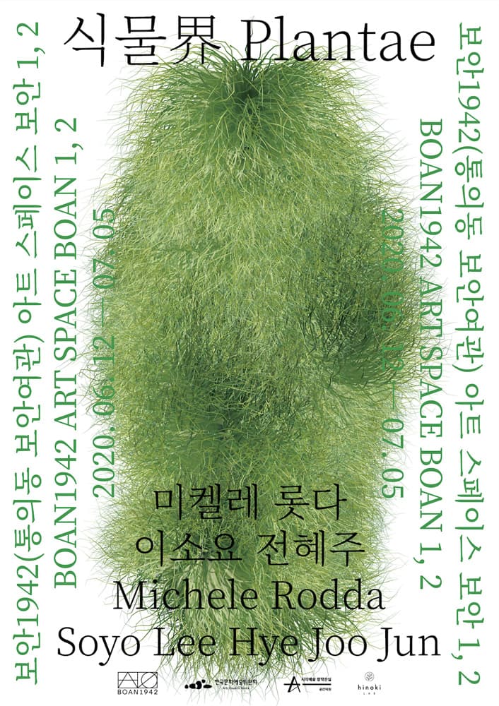 식물계 Plantae 1