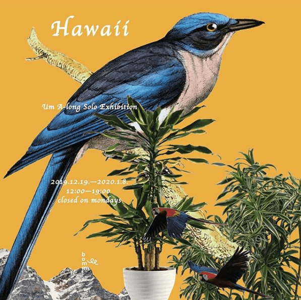 엄아롱 개인전 : Hawaii 1