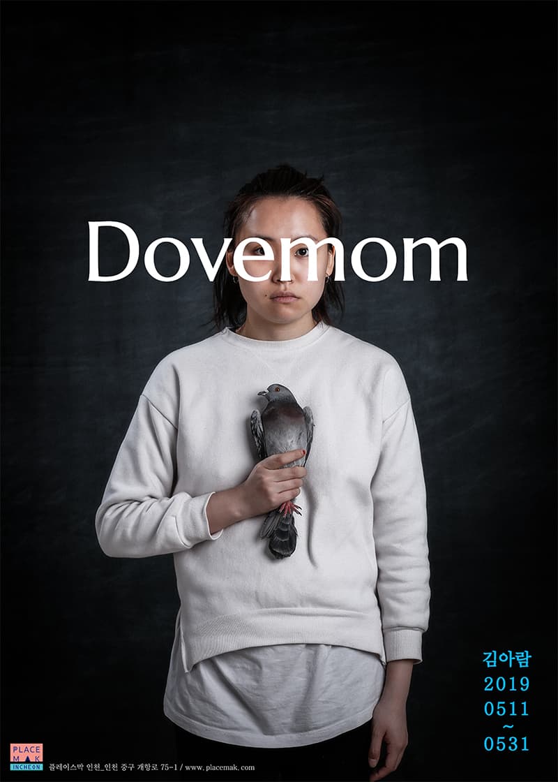 김아람 개인전 : Dovemom 1