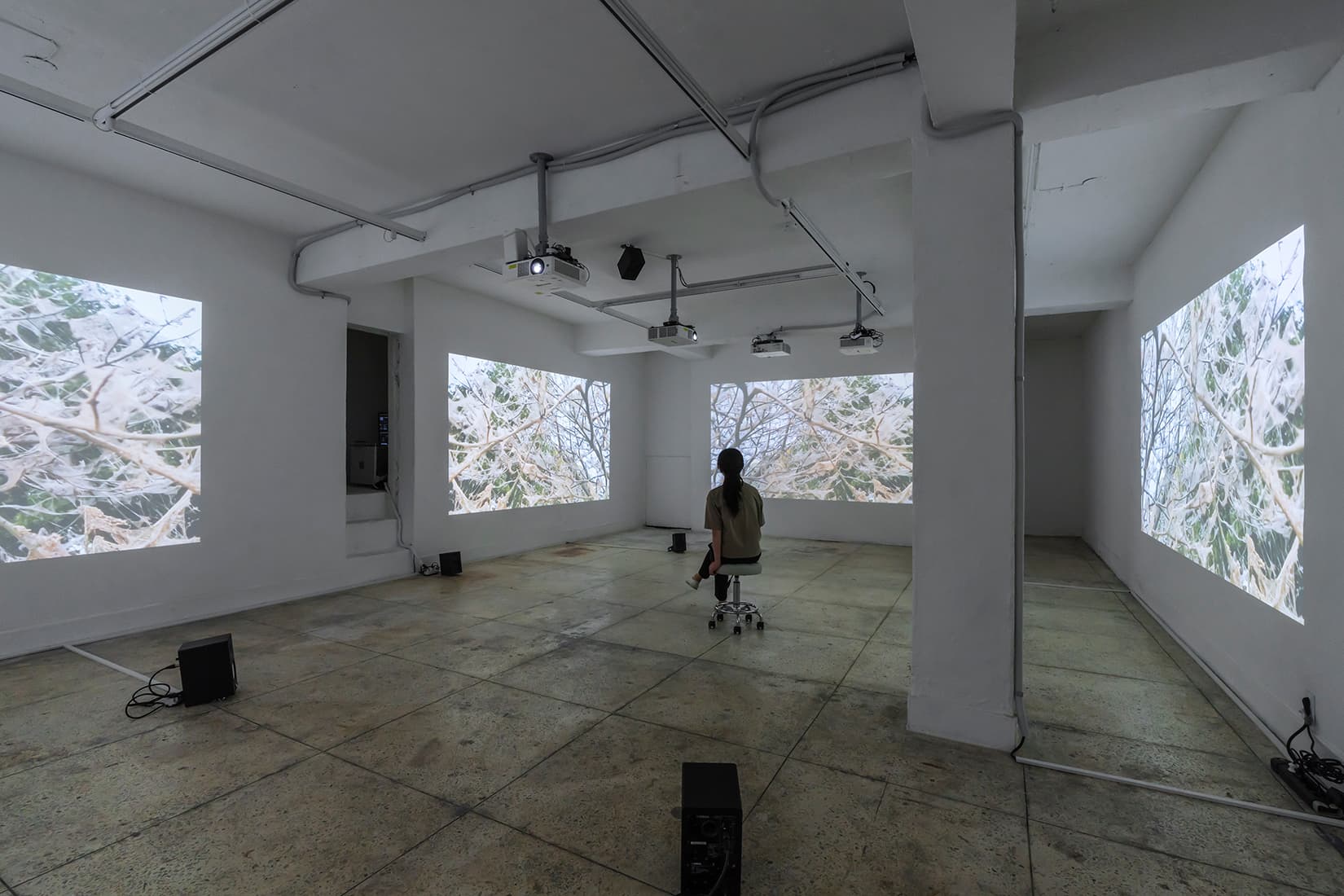 최희정, 〈오랜만에 내 그림자를 보았다〉, 2024, five-channel video(color), six-channel audio, 20 mins. 전시이미지 촬영: CJY ART STUDIO.   사운드: 정의석 / 영상기술: 구종회  / 설치: 멀티텍