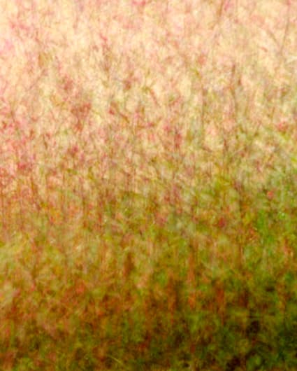 푸른바람005, 함철훈, 131x175cm, 2016, 압축아크릴
