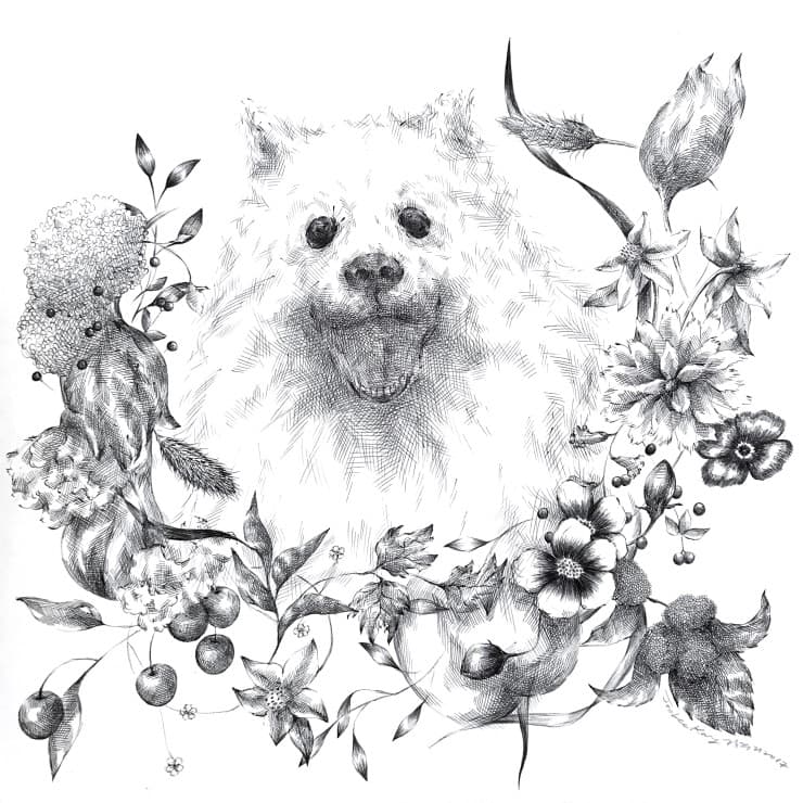 강주리 My Dear Ting 2017 종이에 볼펜 50x50cm