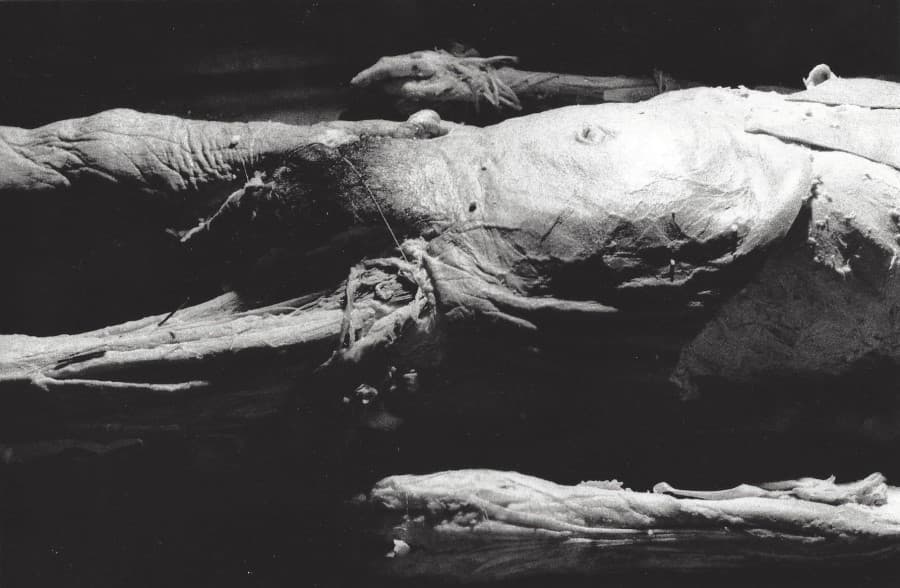 다수리교류전5 나는 사진하며 이렇게 산다 - 최광호, 안병남 사진전 <몸은 자연이다> 1