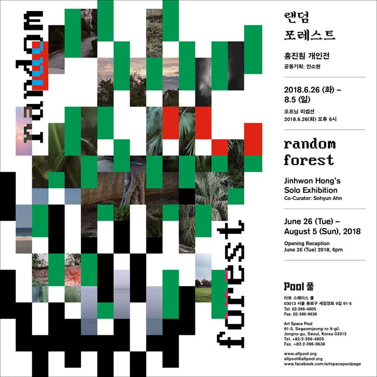 홍진훤 개인전: 랜덤 포레스트 Jinhwon Hong : Random Forest 1