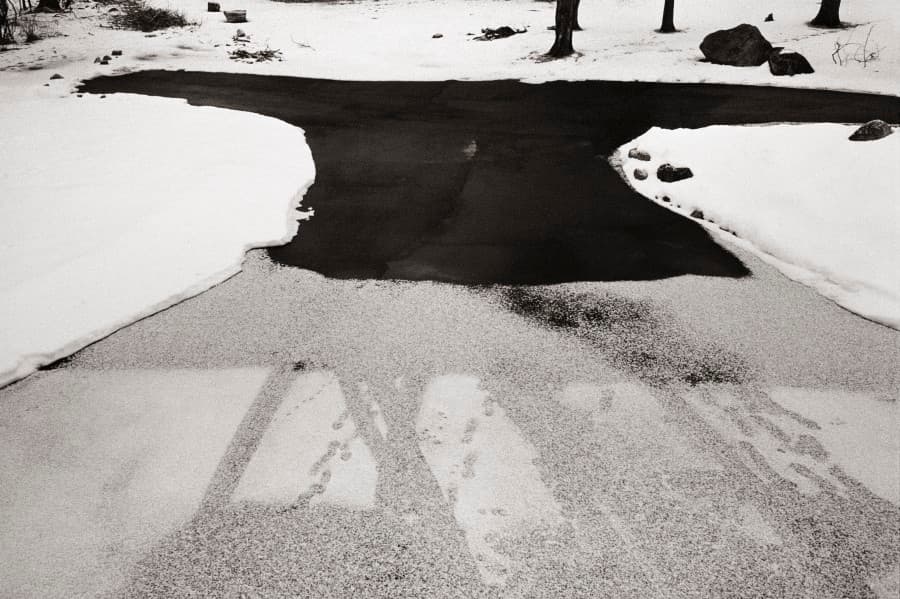 립 퍼키스. 31.5 x 20.8 cm. Gelatin Silver Print