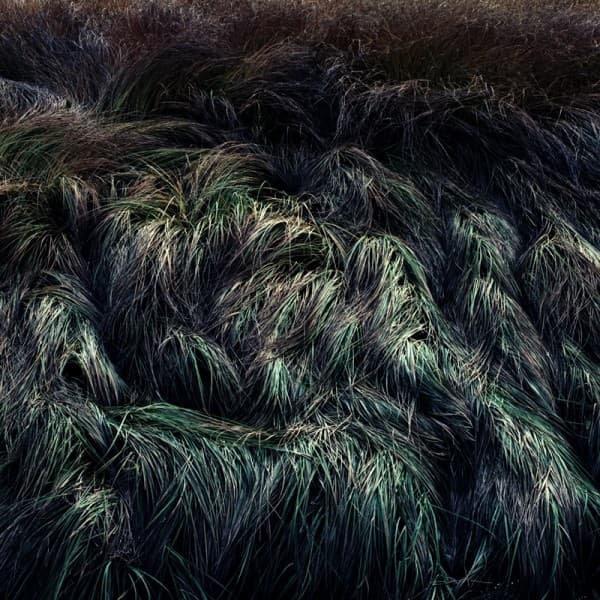 PHOTOGENE OF THE CHROMOGENIC PRINT, 20627, 14.5×14.5cm, CHROMOGENIC PRINT, 2006