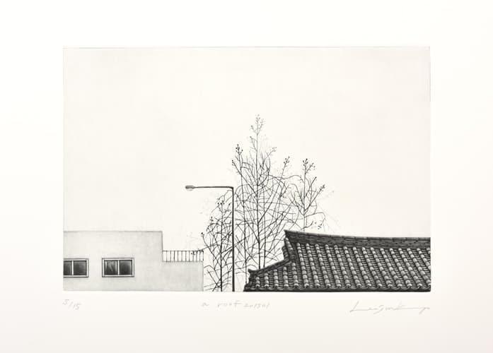 a roof201501_20x30cm_mezzotint_2015