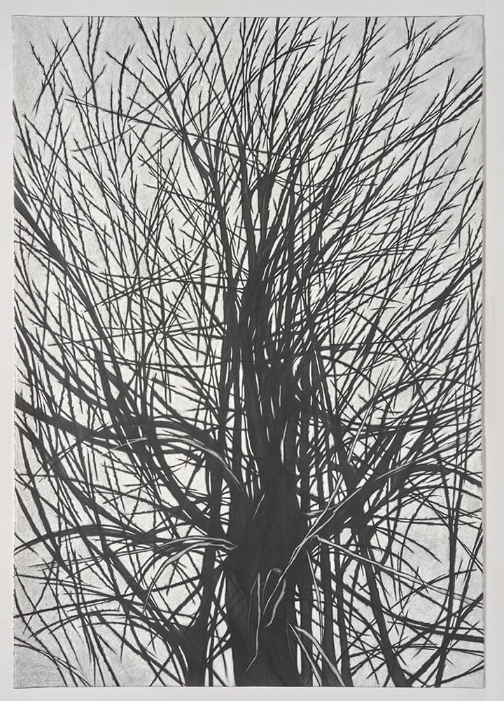 한진, 〈There is a Crack in Everything #2〉, 2021. 코튼 페이퍼에 연필, 100 x 71 cm. 이미지 출처: 원앤제이 갤러리.