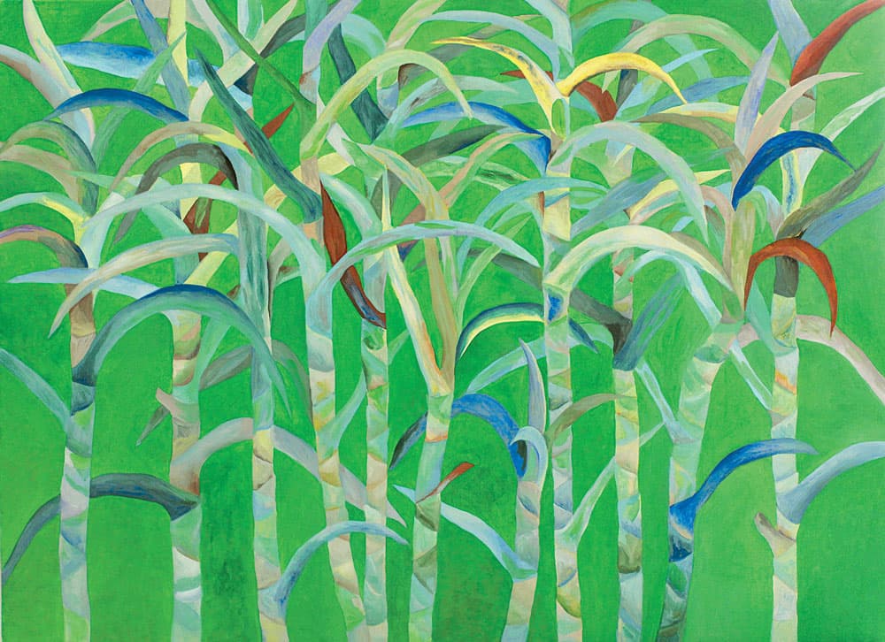 백두리  자바  2016  종이 위에 아크릴  530x730 mm
