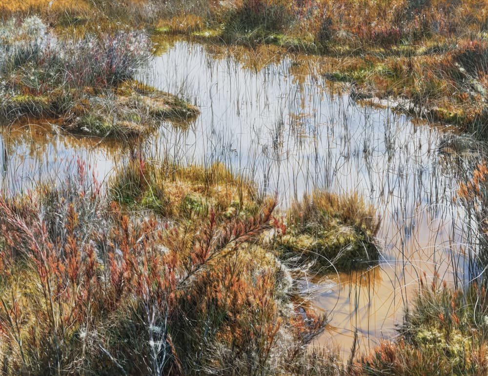 Untitled 4739, 2020, Oil on canvas, 112.1 x 145.5cm