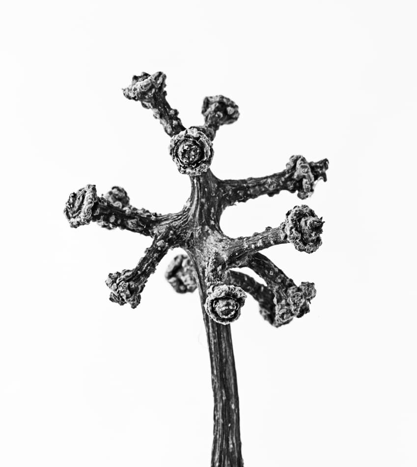 양지원 개인전 : 탑, 씨, 꽃꽂이 Jiwon Yang : Tower, Seed, Floral arrangment 1