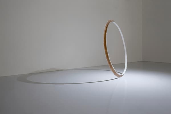 Tchunmo Nam, Spring-beam, 2017, Oil on coated fabric, 280 x 280 x 10 cm