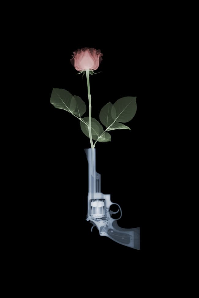 ⓒ Nick Veasey