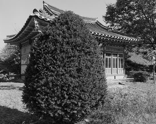 민병헌, 식물과 한옥 001, 2013, gelatin silver print, 18.5×23cm