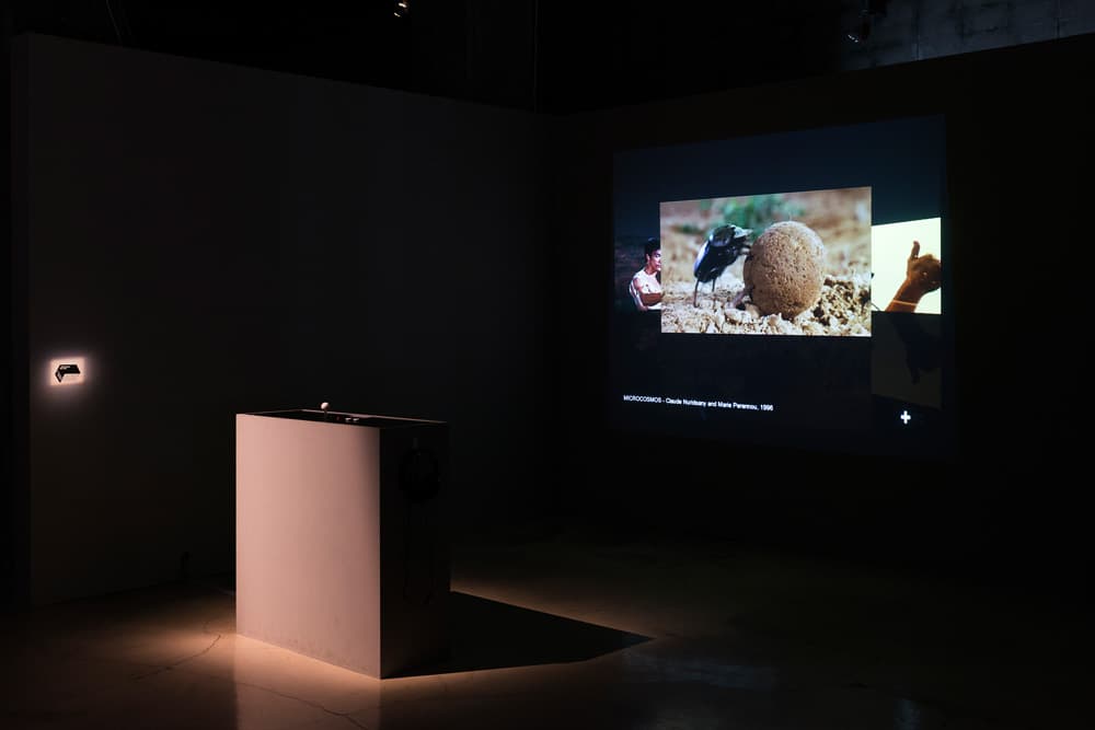 기다려_2012-2013 Installation video interactive_variable size	 Emilie Brout & Maxime Marion