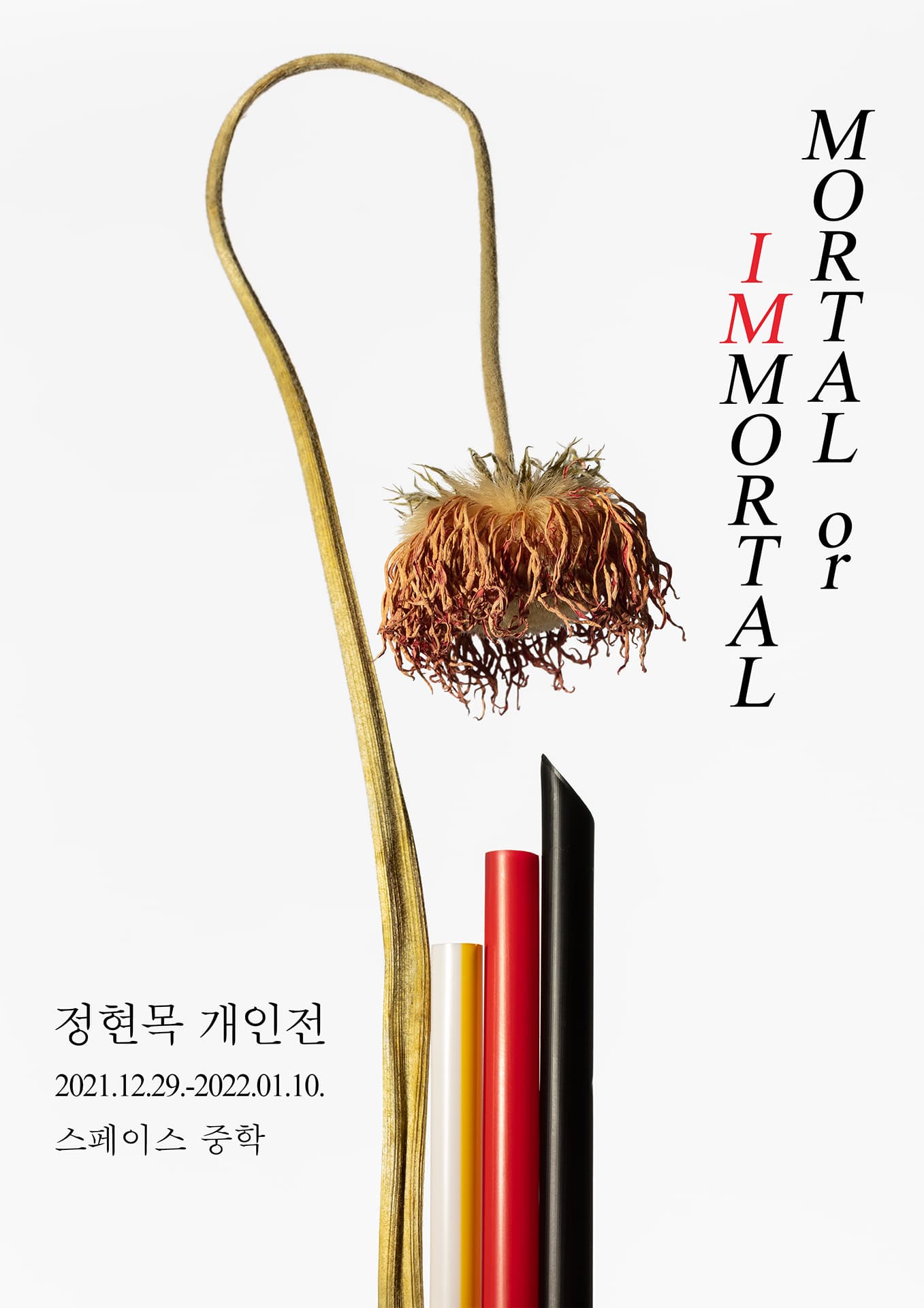 정현목 개인전: Mortal or Immortal 1