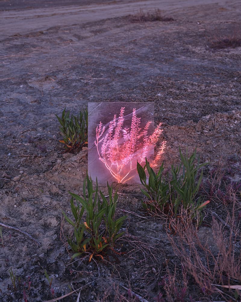 Overlayer #01, 2020, Pigment Print, 104 x 130cm