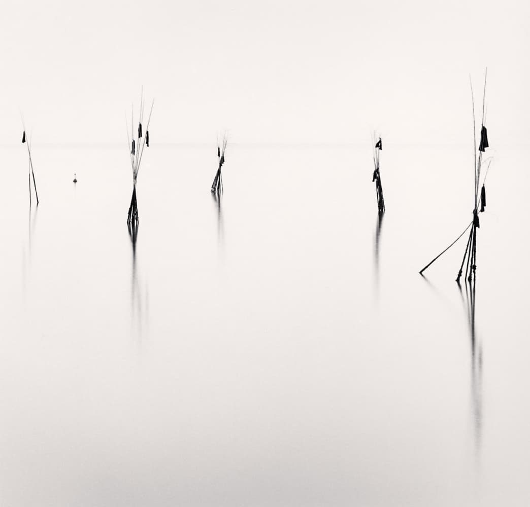 Bamboo Harbor Guides, Study 2, Hinagu, Kyushu, Japan. 2002ⓒMichael Kenna, Courtesy of Gallery KONG