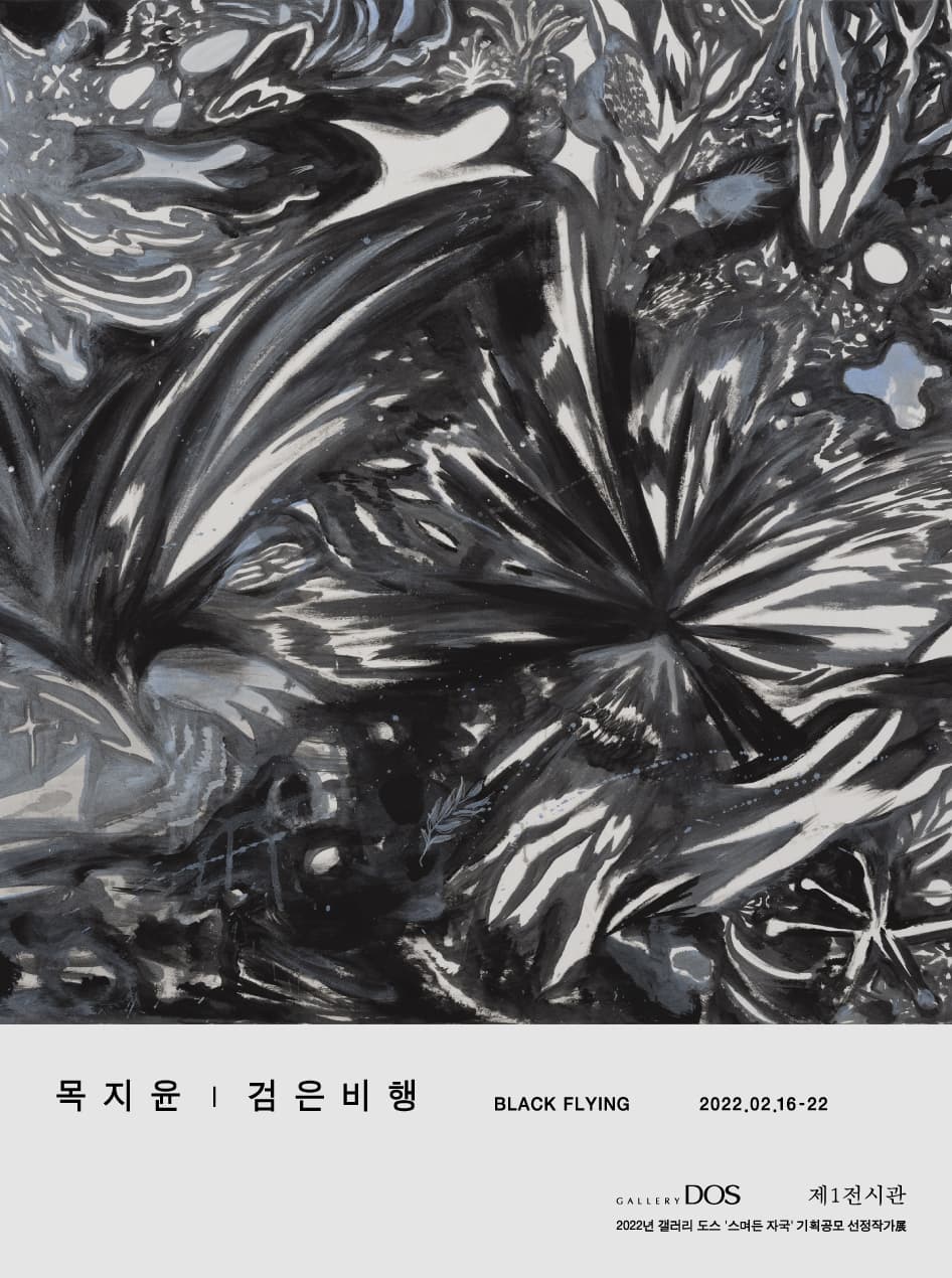 목지윤: 검은비행 1