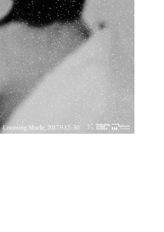 김익현 개인전 : Looming Shade 1